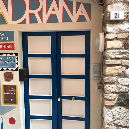 Vegan B&B Meuble Adriana Sirmione Eksteriør bilde